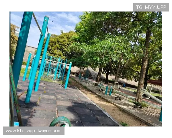 极限吊索荡秋千，飞越高空的绝佳体验，吊秋千的吊怎么写